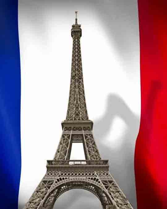 <span style="font-size: 24pt;"><br />FRANSIZCA</span>